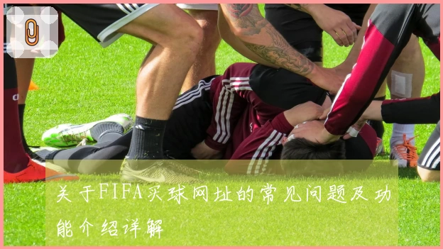 关于FIFA买球网址的常见问题及功能介绍详解