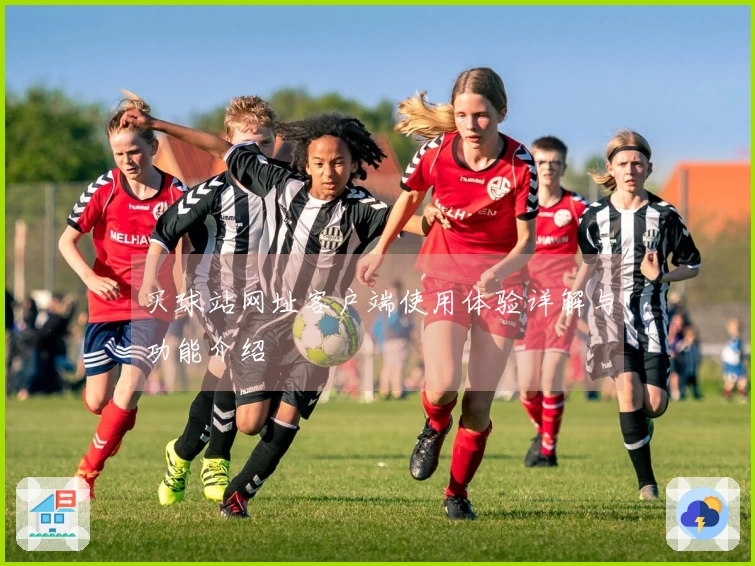 买球站网址客户端使用体验详解与功能介绍