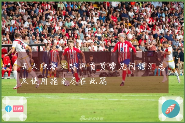 五大联赛买球网首页常见问题汇总及使用指南尽在此篇