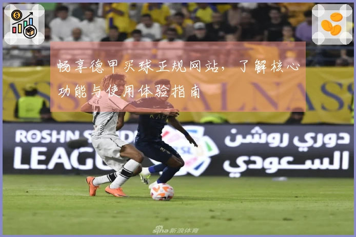 畅享德甲买球正规网站，了解核心功能与使用体验指南