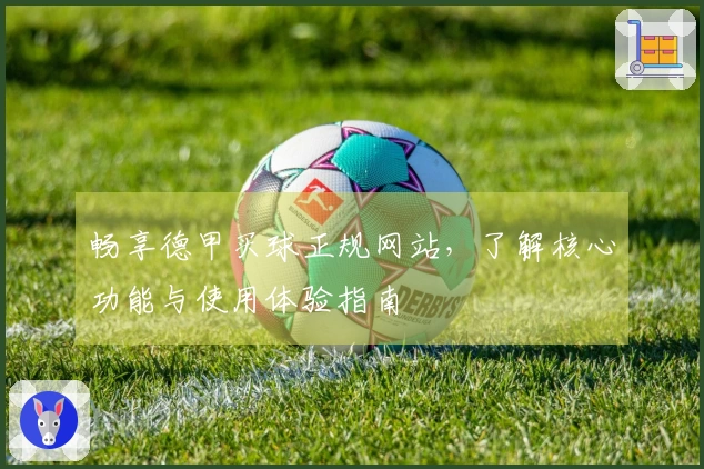 畅享德甲买球正规网站，了解核心功能与使用体验指南